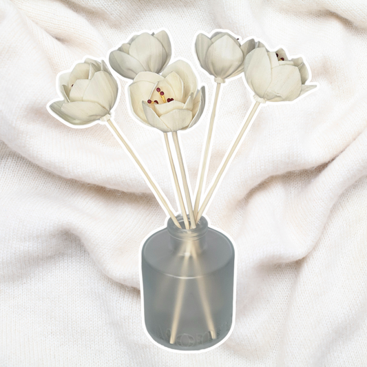 Cashmere Vanilla Room Diffuser